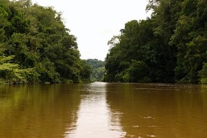 1.1225523400.sangha-river